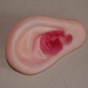 Plastic ear