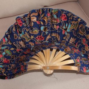 0042-4.jpg Blue fan