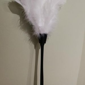 Feather duster