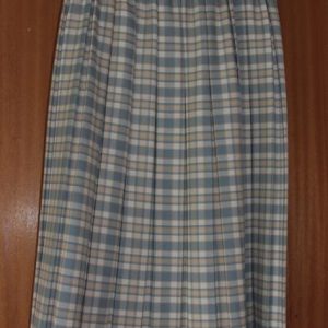 Blue/white/yellow pleated skirt