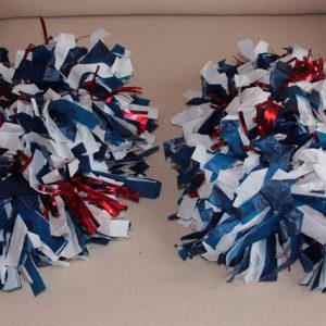 9982-4.jpg Pom Poms (sparkly red,white,blue)