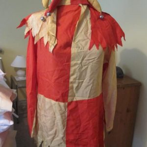 Jester costume including hat, orange/yellow