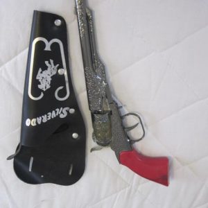 Gun and holster