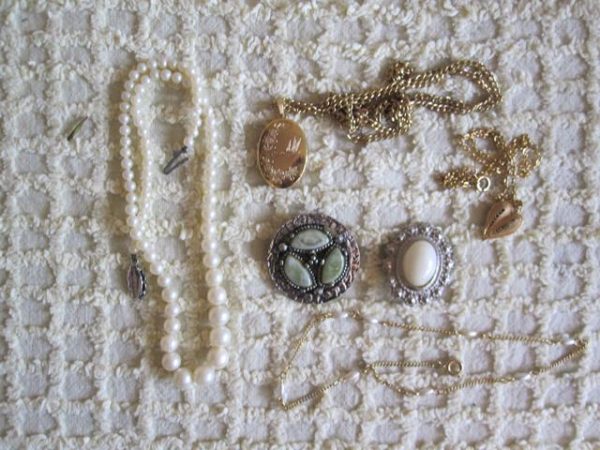 Brooches and necklaces