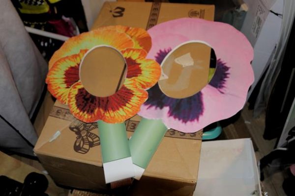 IMG_2503-3.jpg "Pansy faces" (foam board)