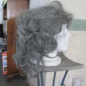 Long grey wig
